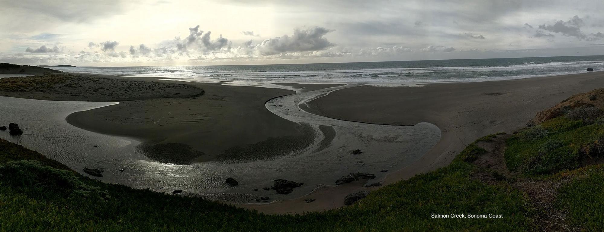 Salmon Creek