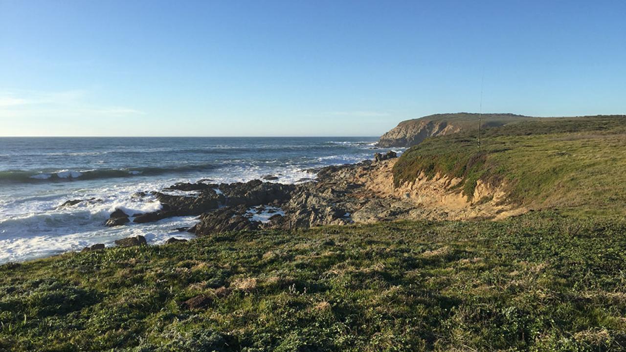 Ocean tide line