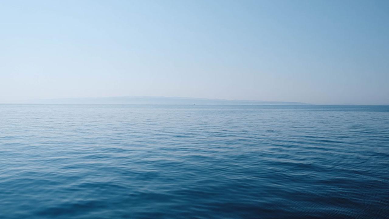 Photo by Thomas Vimare on Unsplash