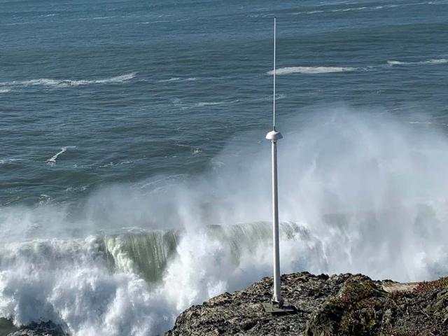 high frequency radar sea surface current observations
