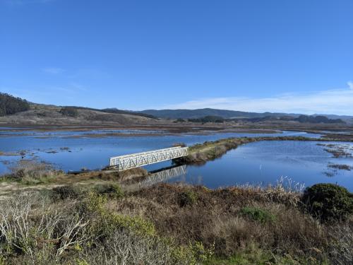 image of a flooded marsh