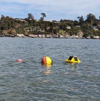 wave buoy