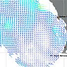 sea surface currents