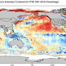 Data from NOAA, via TropicalTidbits.com