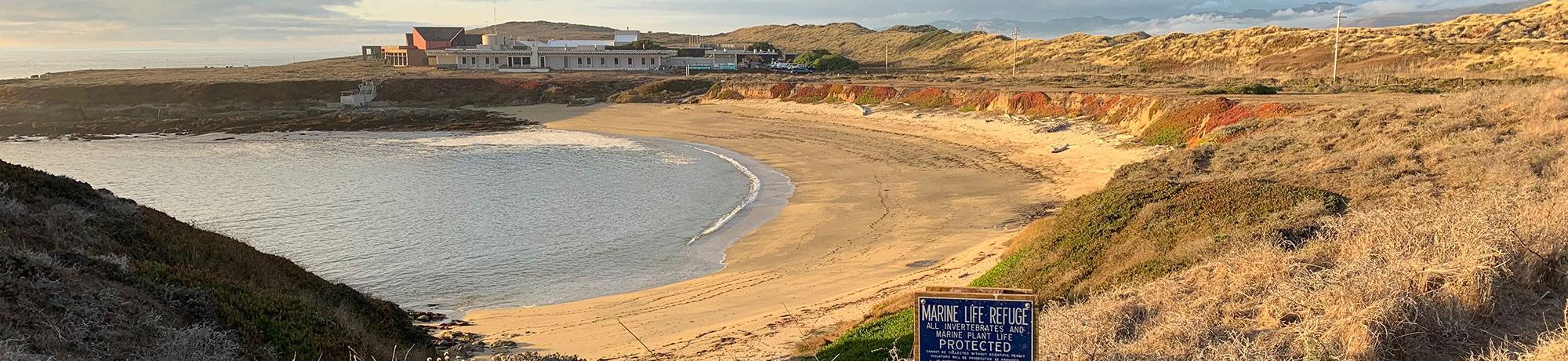 Bodega Marine Laboratory