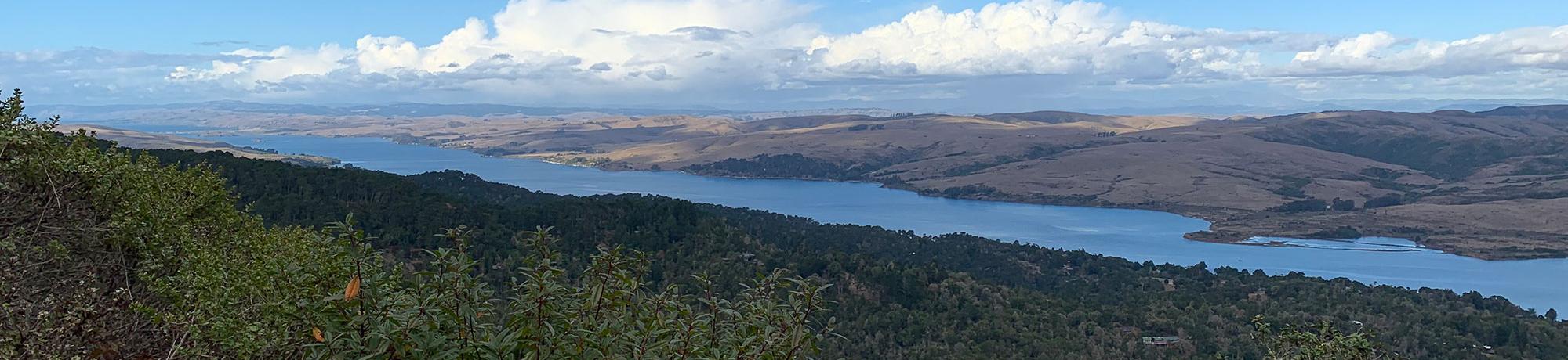 Tomales Bay